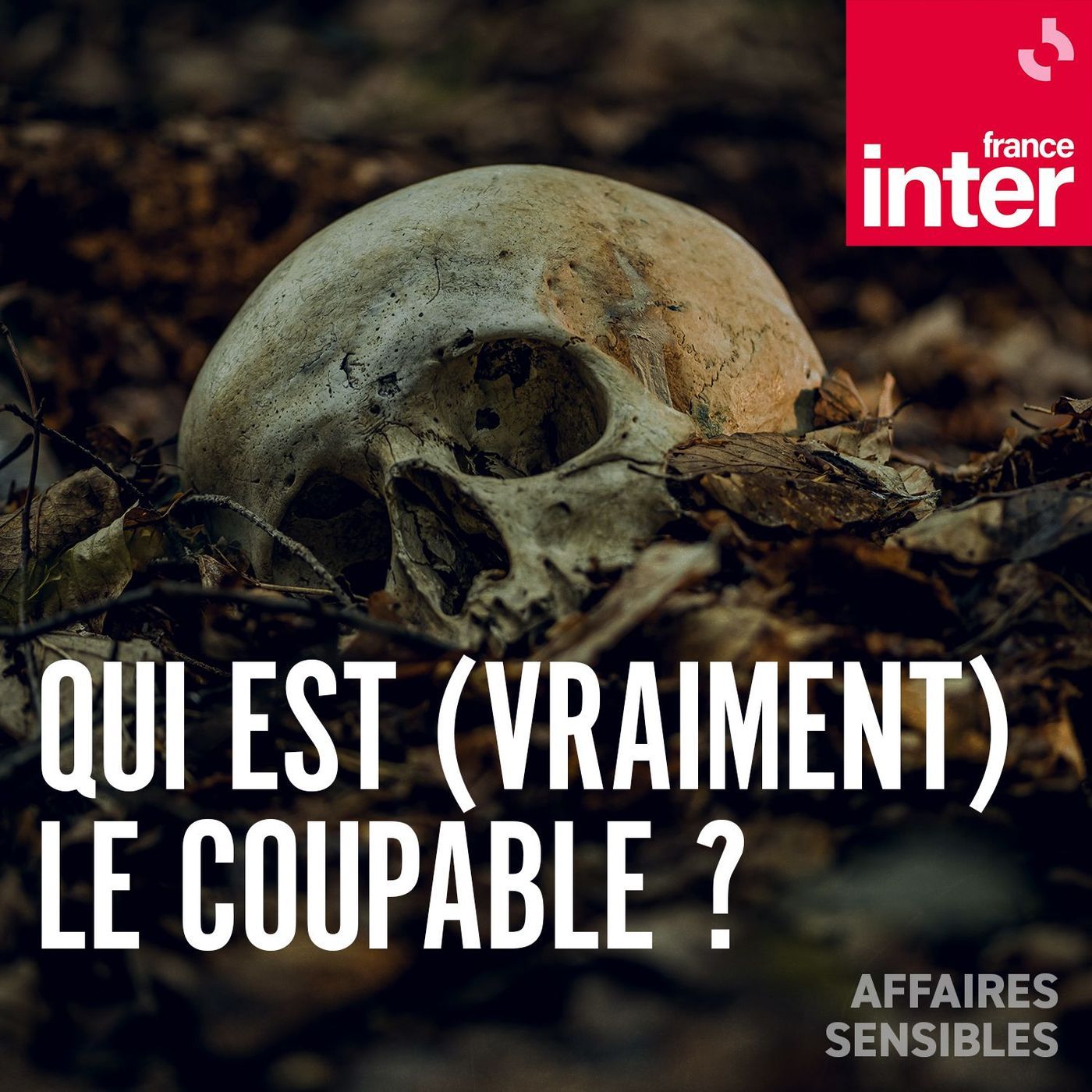 Affaires sensibles