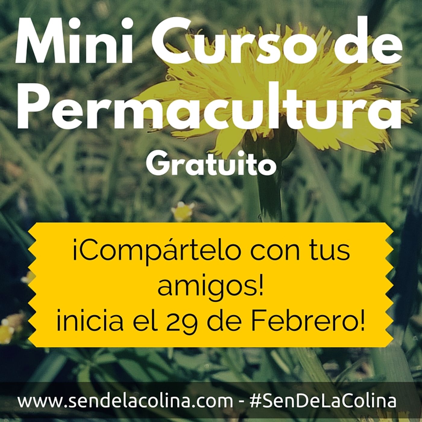 Pistas de Sen de la Colina