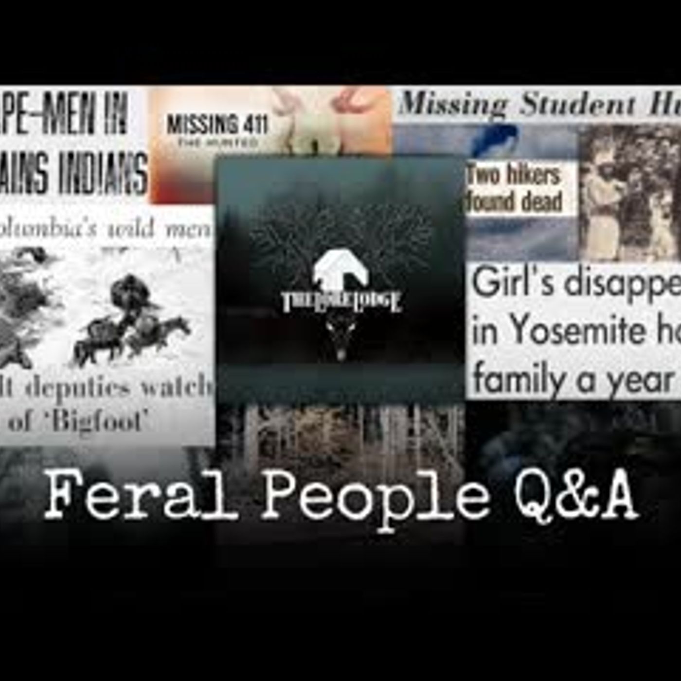 Feral People of America Q&A with Aidan Mattis episode artwork