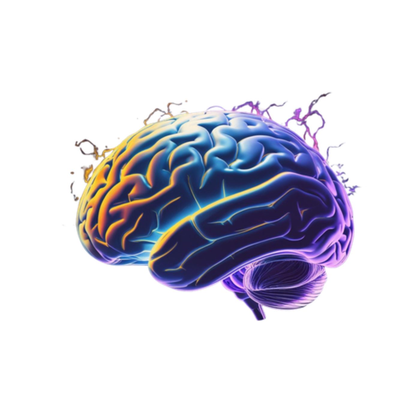 Ultimate Guide to Nootropics