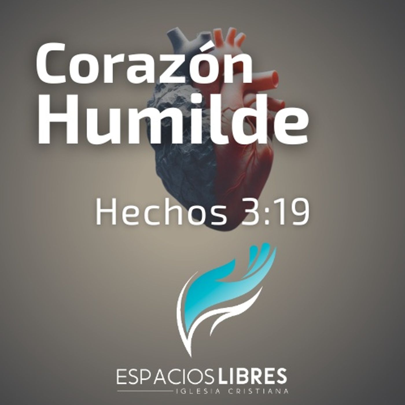IGLESIA CRISTIANA ESPACIOS LIBRES