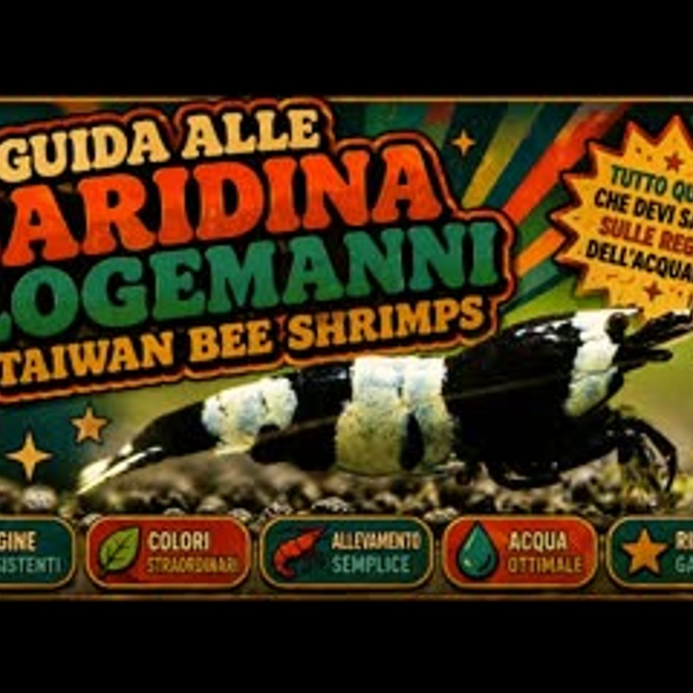 NESSUNO HA CAPITO LA CARIDINA TAIWAN BEE episode artwork