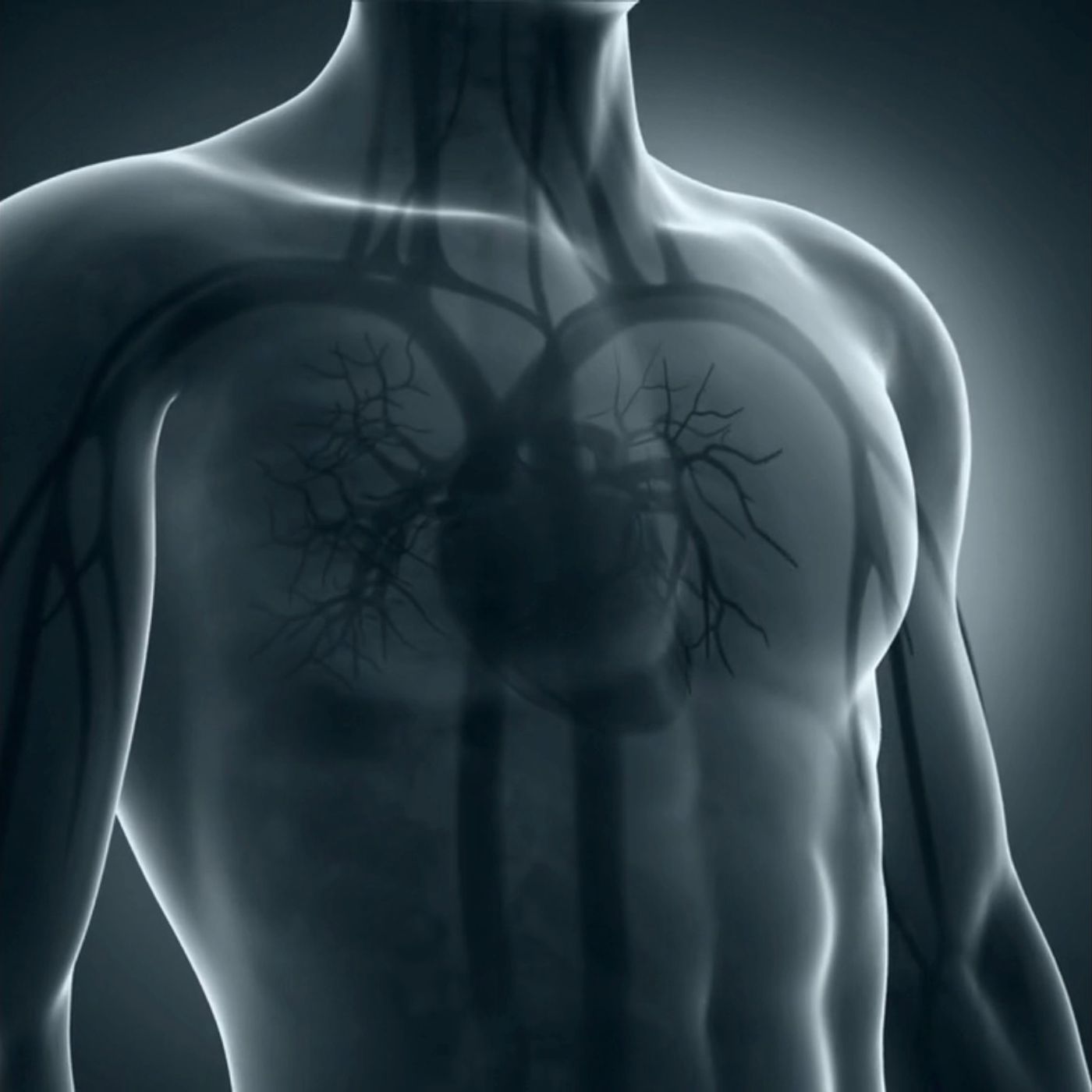 S132E12: EveryThing About The Human Body They Can Actually Make - Trevor Gear On Science And Humans episode artwork