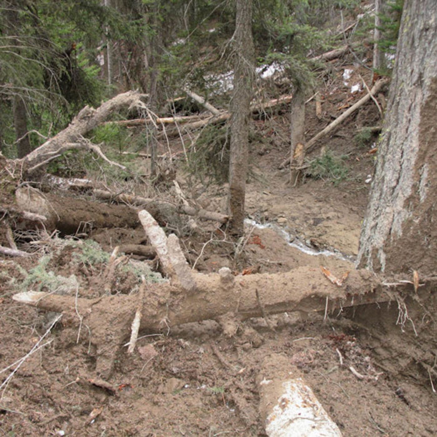 Wash. Mine Fined For Water Quality Violations episode artwork
