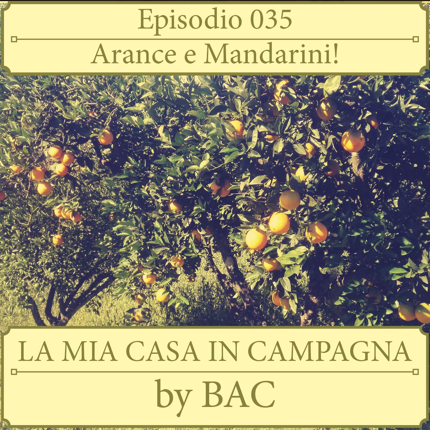 La Mia Casa In Campagna