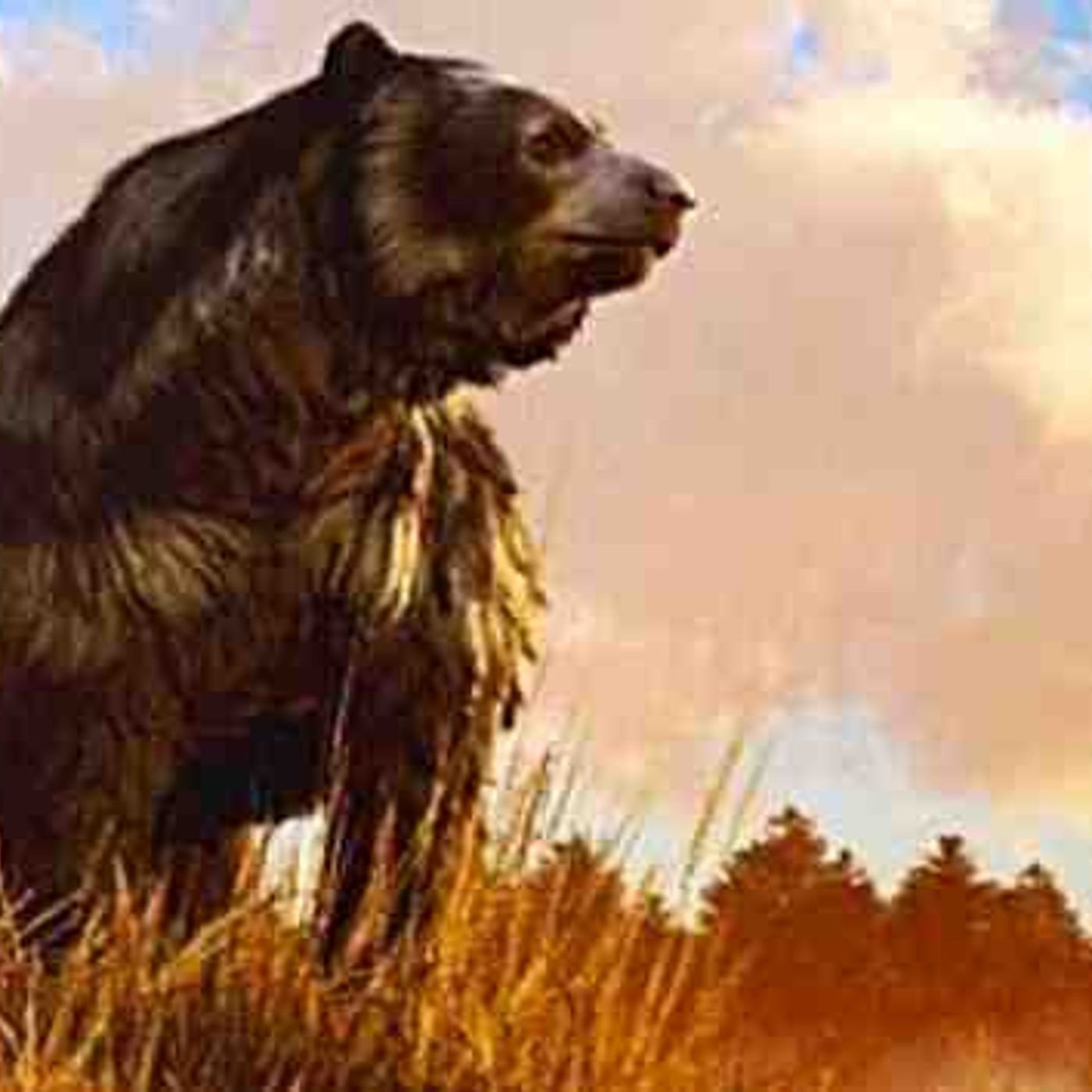 Short Faced Bear - Ancient Animal (Feat.JoeRogan) episode artwork