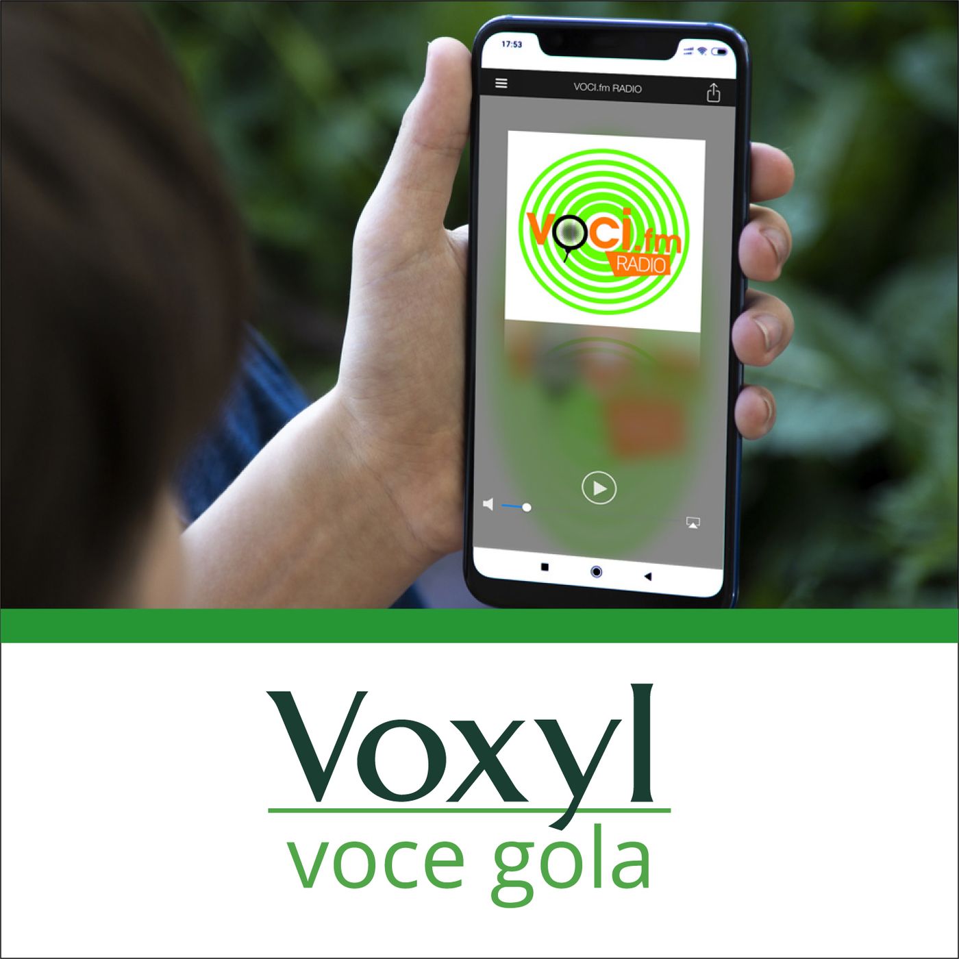 Voxyl Voce Gola