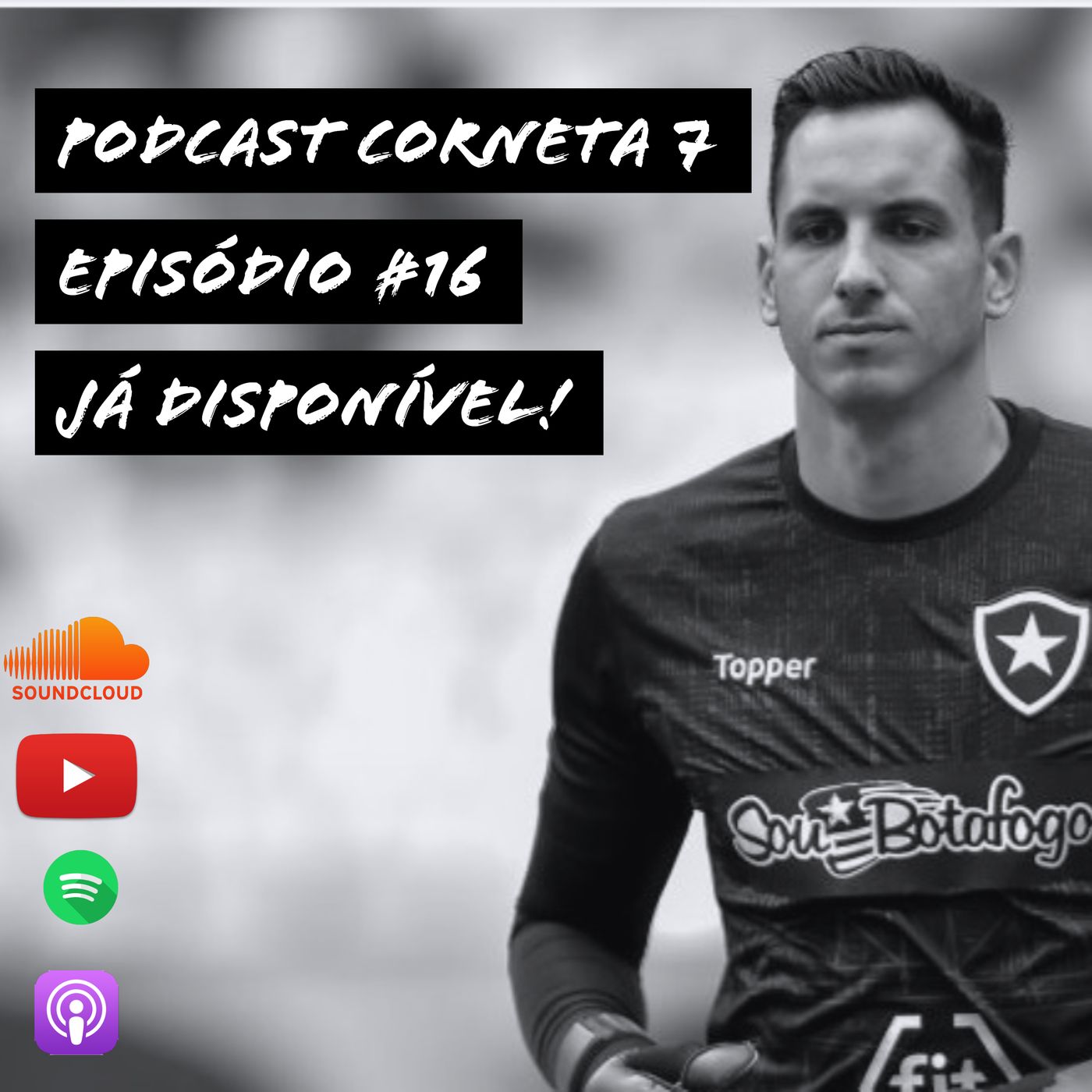 [16] Gatito / Jonathan / BOTAFOGO x Chape