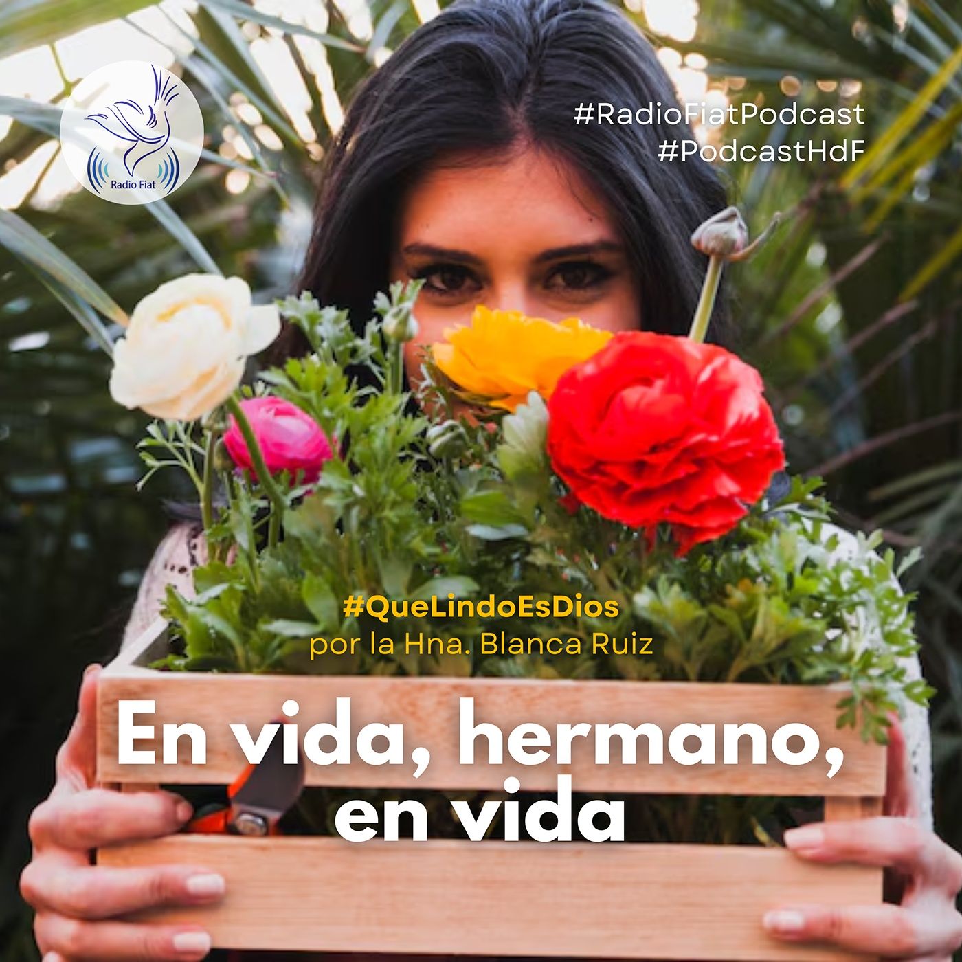 Que lindo es Dios - En vida, hermano, en vida episode artwork