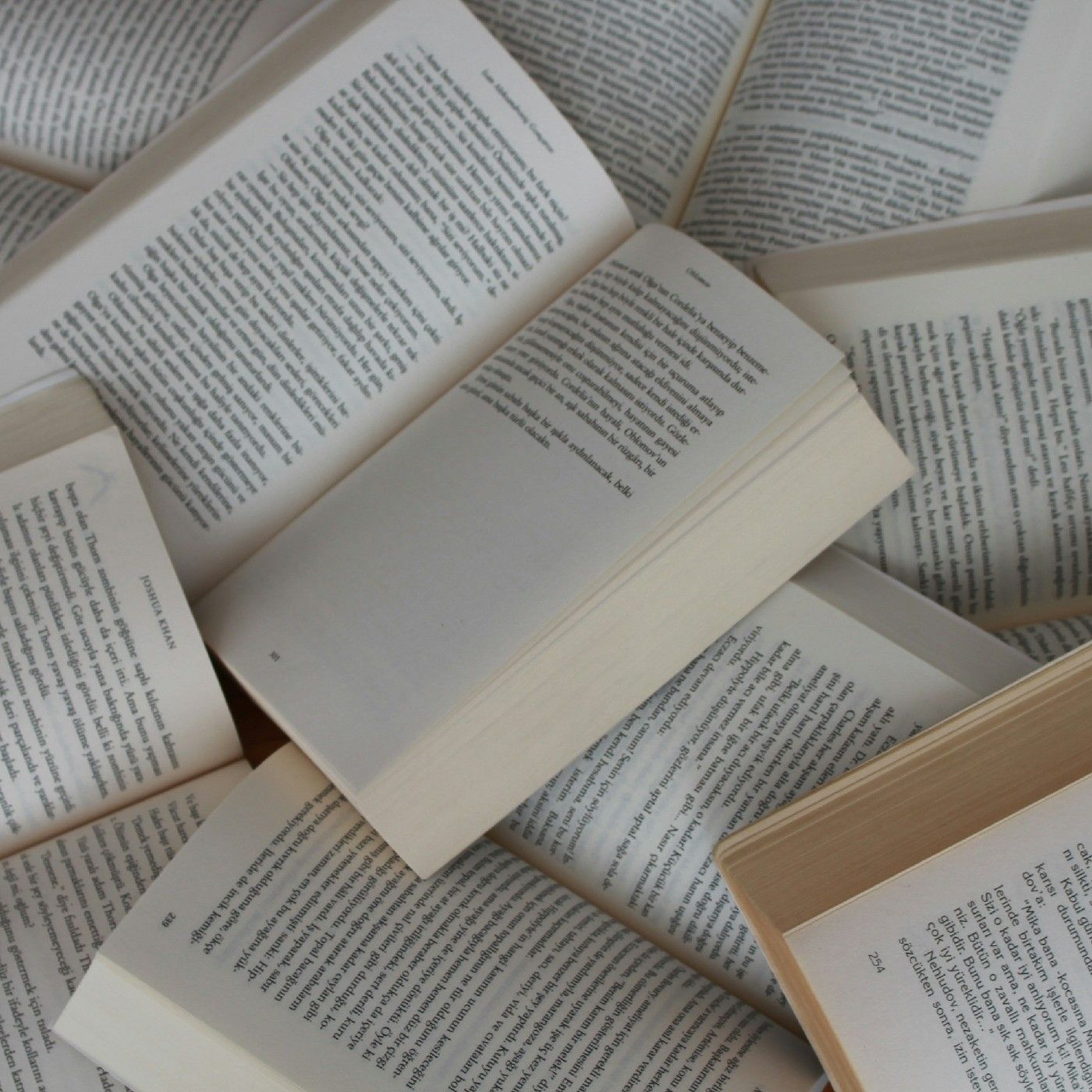 Los literatos de la historia