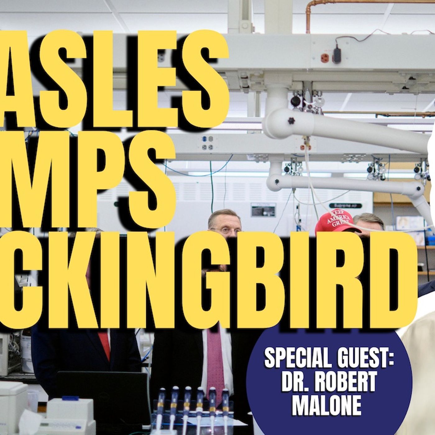 MMR & Operation Mockingbird| Dr. Robert Malone  (TPC #1,727)