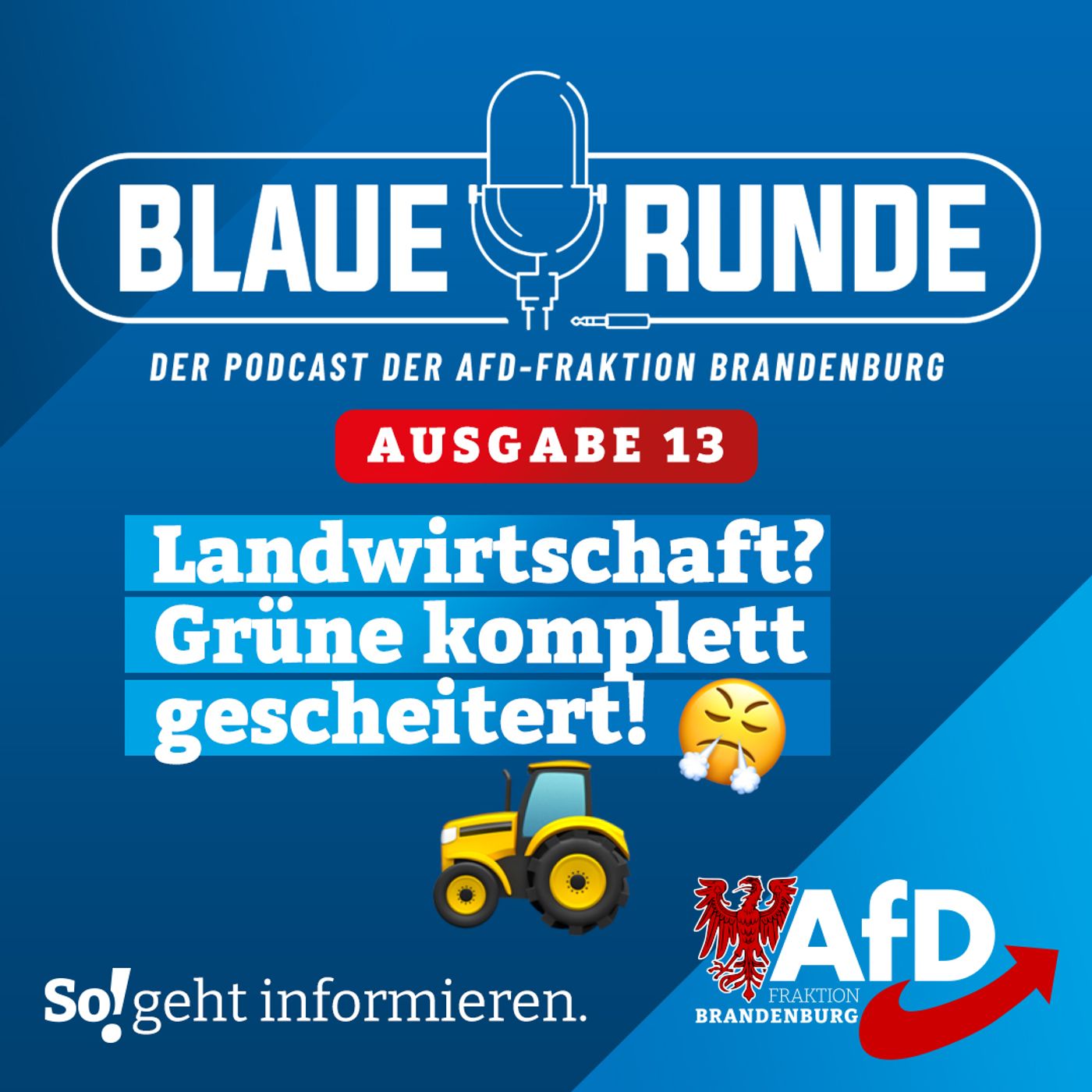 Die Blaue Runde - der Podcast der AfD-Fraktion Brandenburg