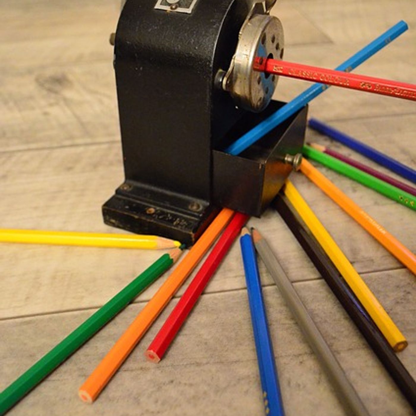 Shauna Allen\'s show