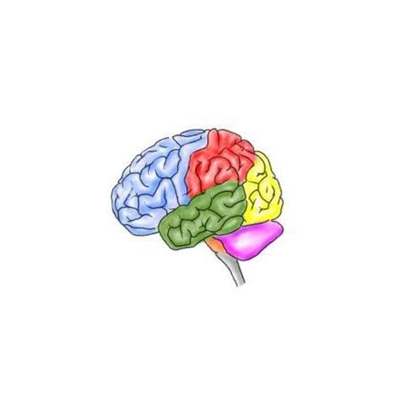 Concussion Matters
