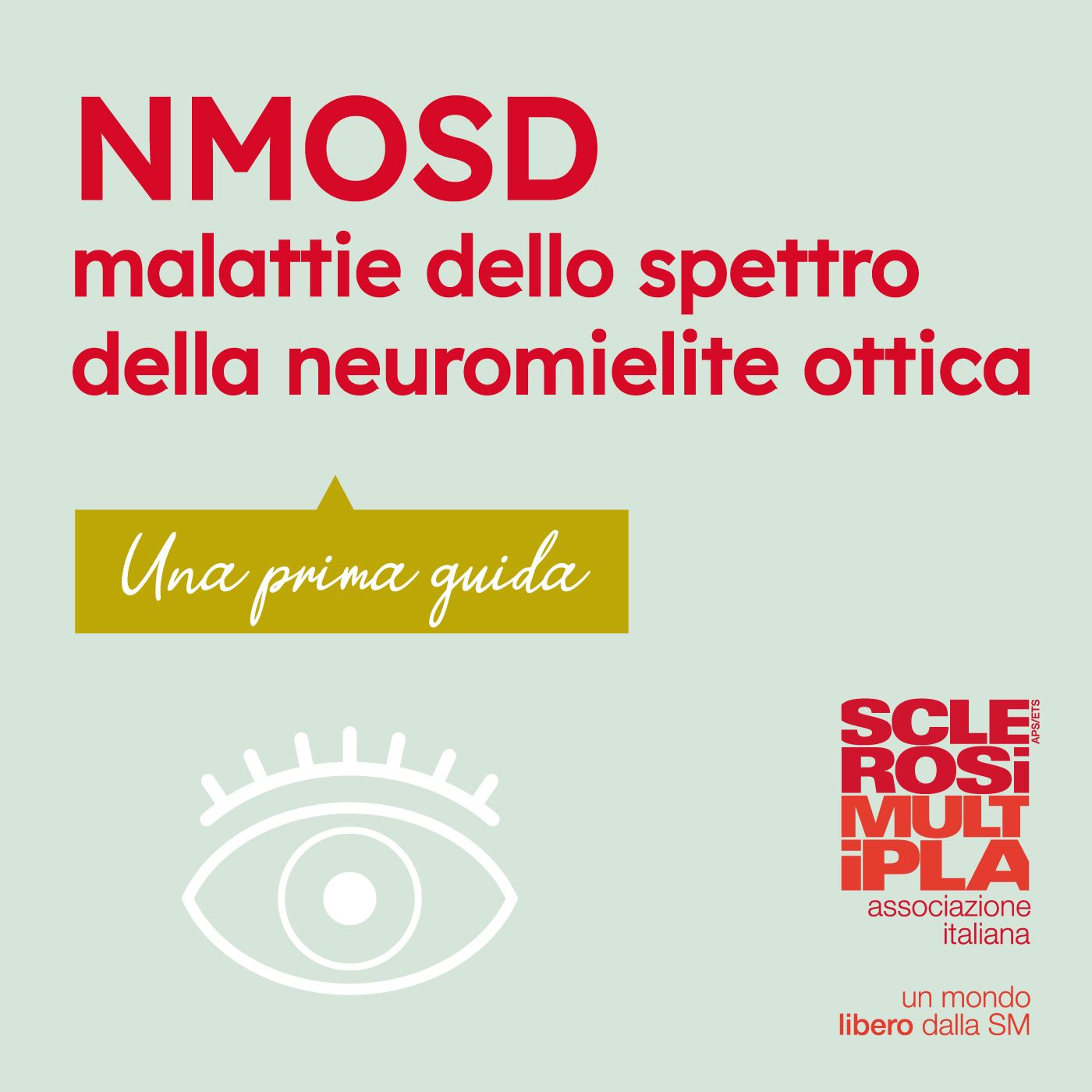 AINMO, Associazione Italiana Neuromielite Ottica