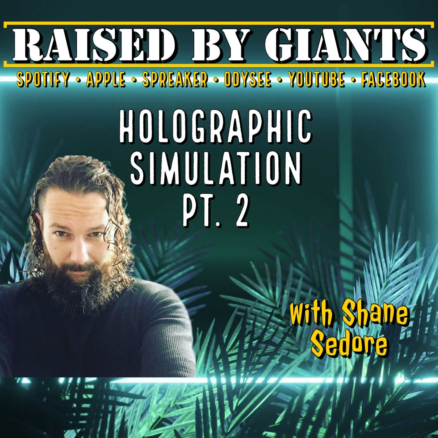 Holographic Simulation Pt.2, Community of Propaganda, What Is Space? with Shane Sedore