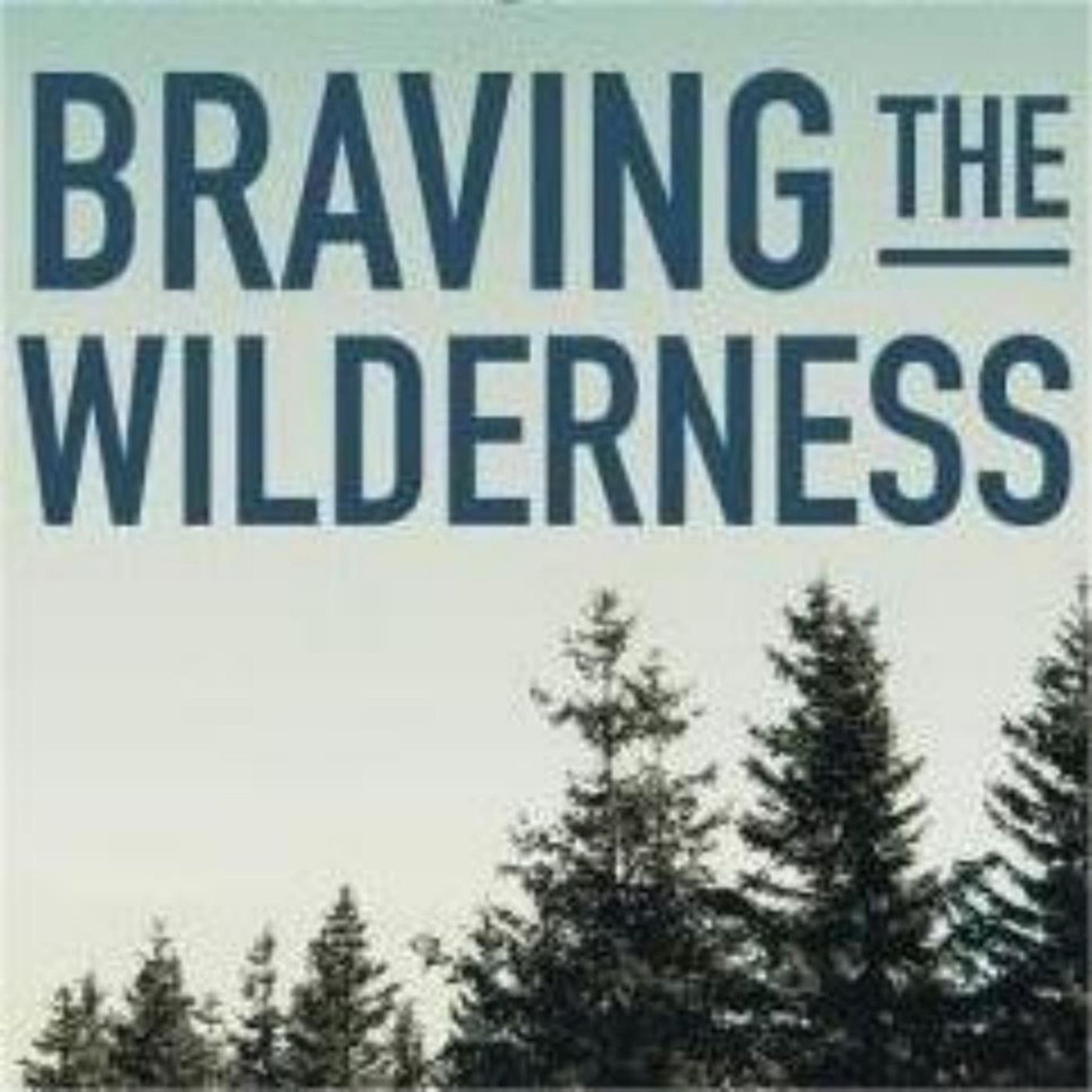 Finding Connection in the Wilderness: Exploring Brené Brown's Journey