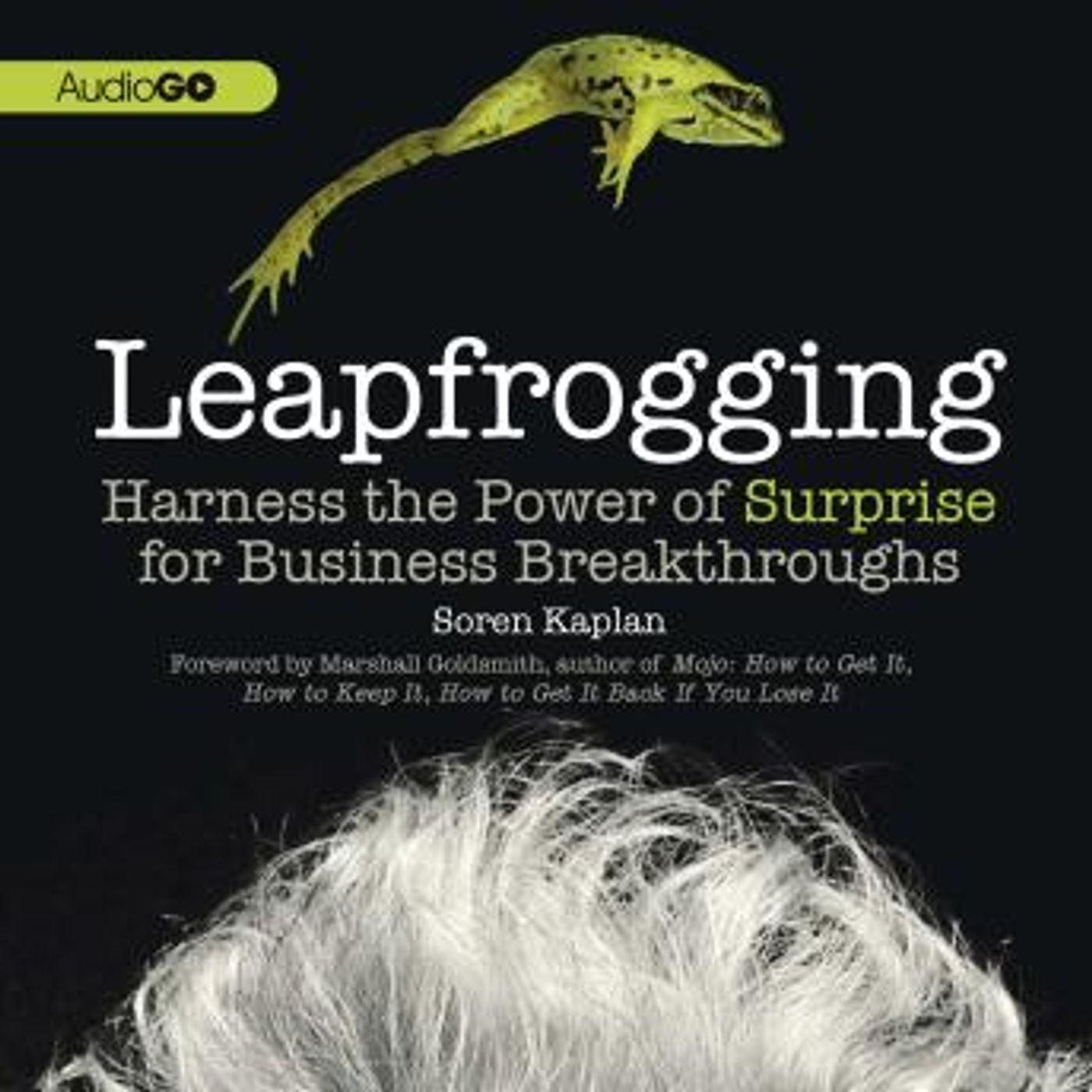 Leapfrogging: Harness the Power of Surprise for Business Breakthroughs by Soren Kaplan episode artwork