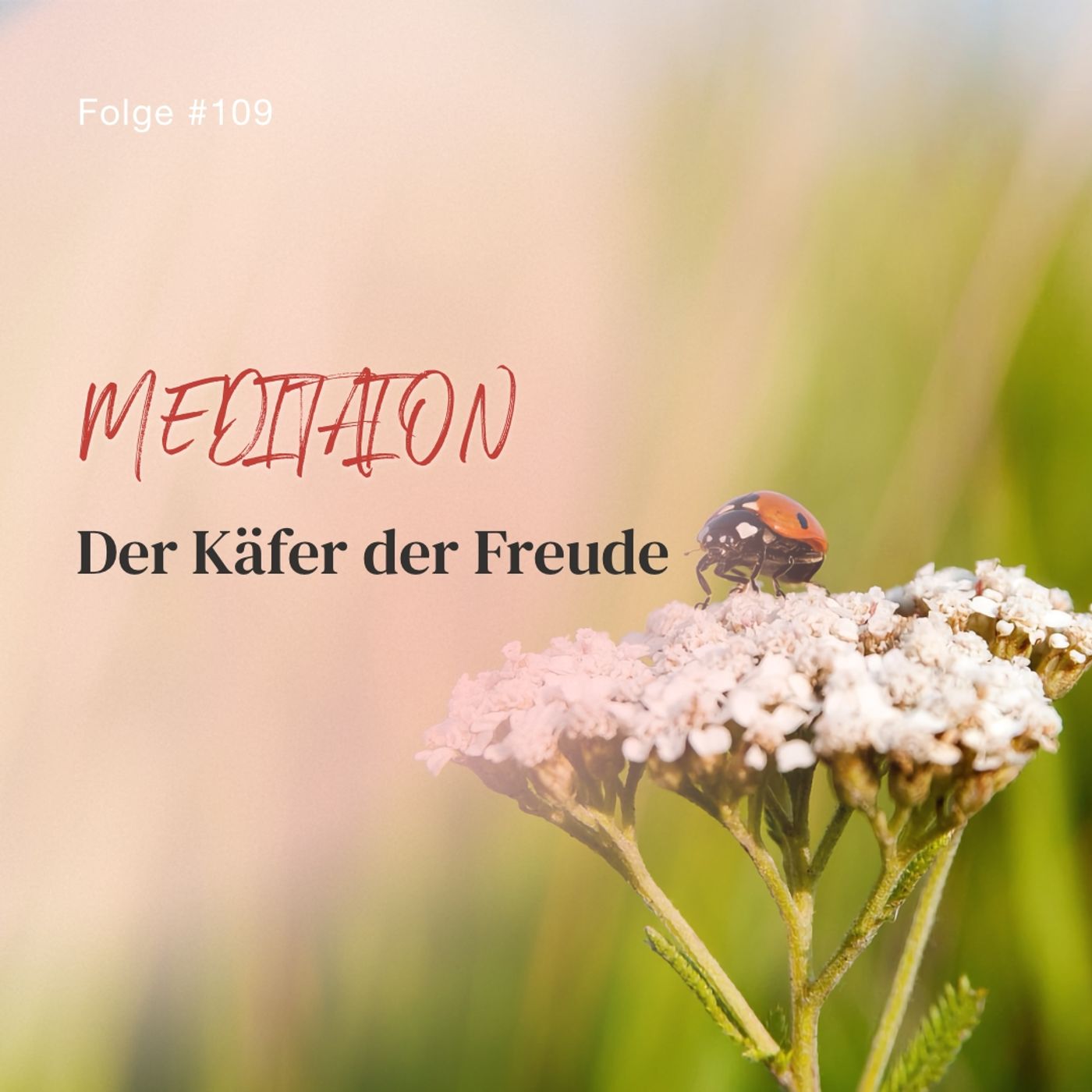 Der Käfer der Freude | ca. 21 Min | Folge 109 episode artwork
