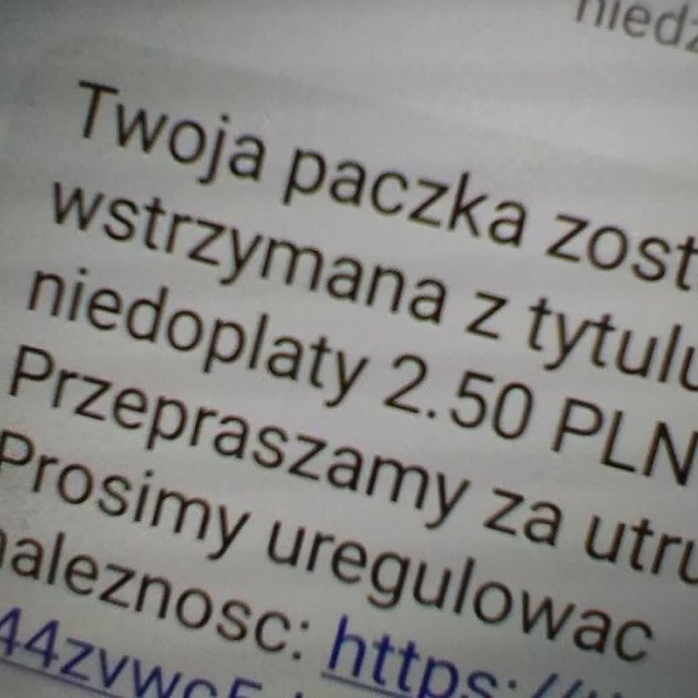 Cyberprzezorny - Radio Zachód