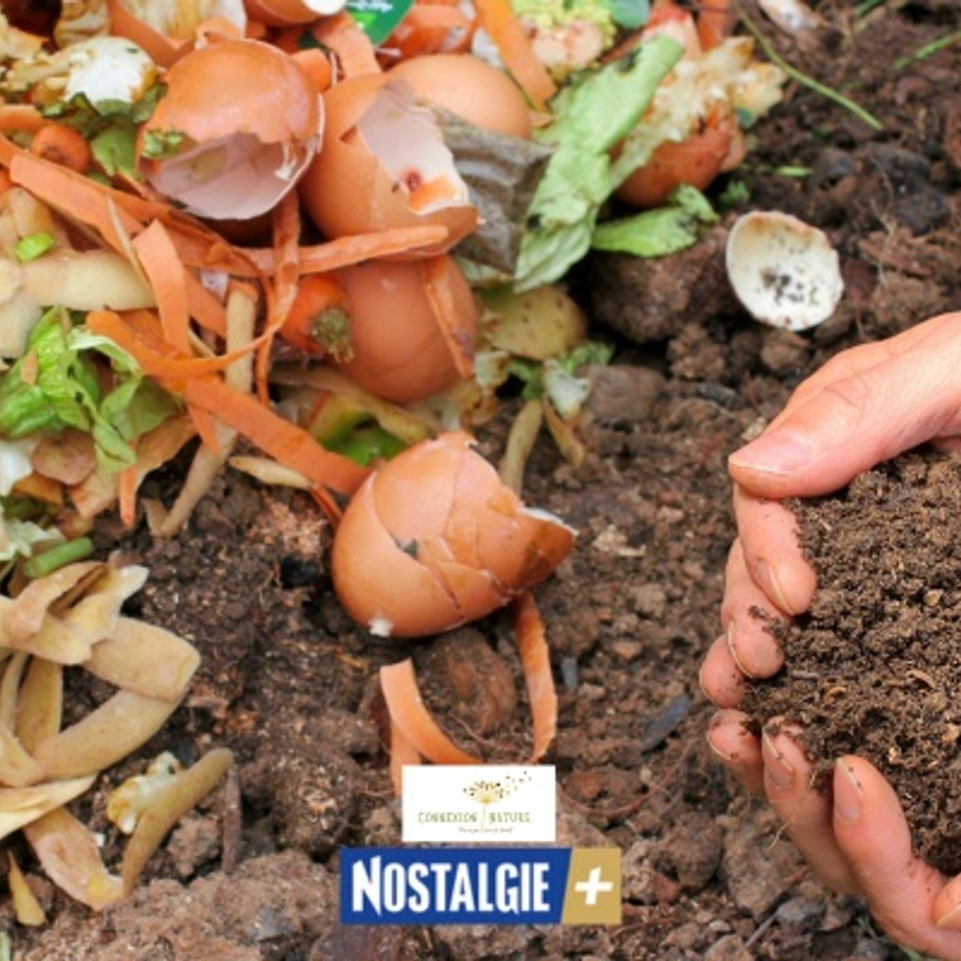 Connexion Nature : Les coquilles d’œufs dans un compost