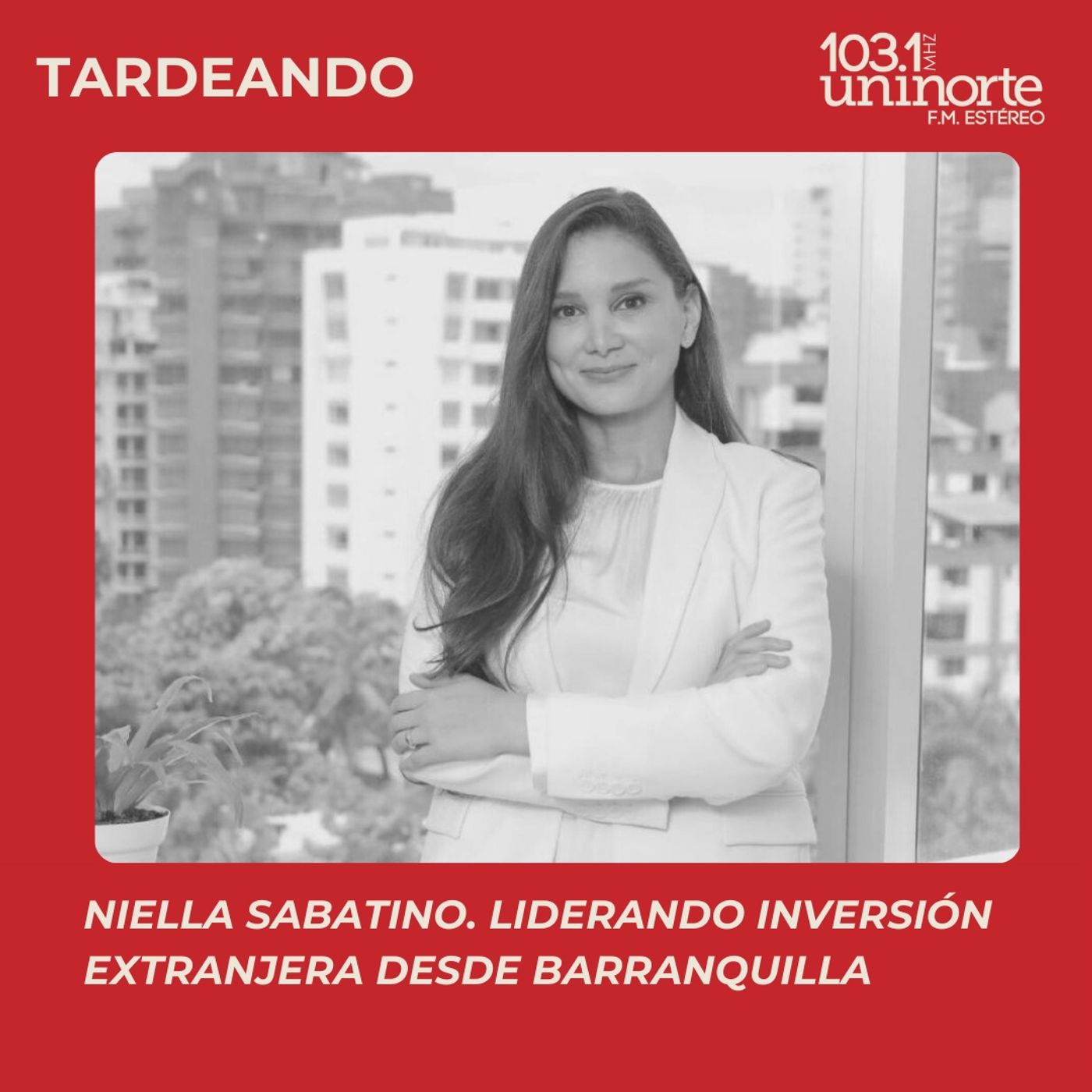 Los Egresados Hacen Noticia :: Niella Sabatino. Inversión extranjera desde Barranquilla episode artwork
