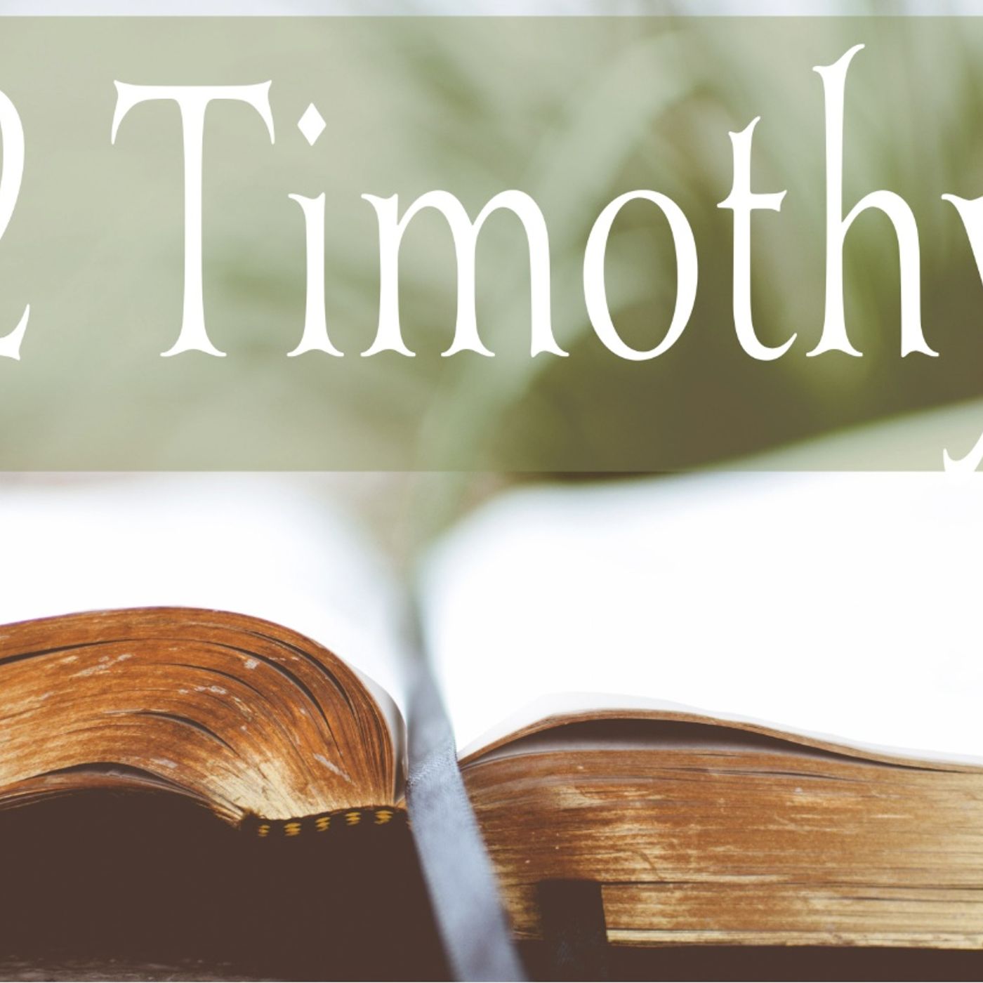 2 Timothy chapter 3 / September 16th / 2024 / lap 1