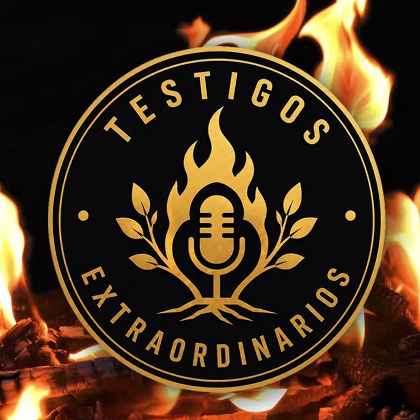 Testigos Extraordinarios Podcast podcast artwork