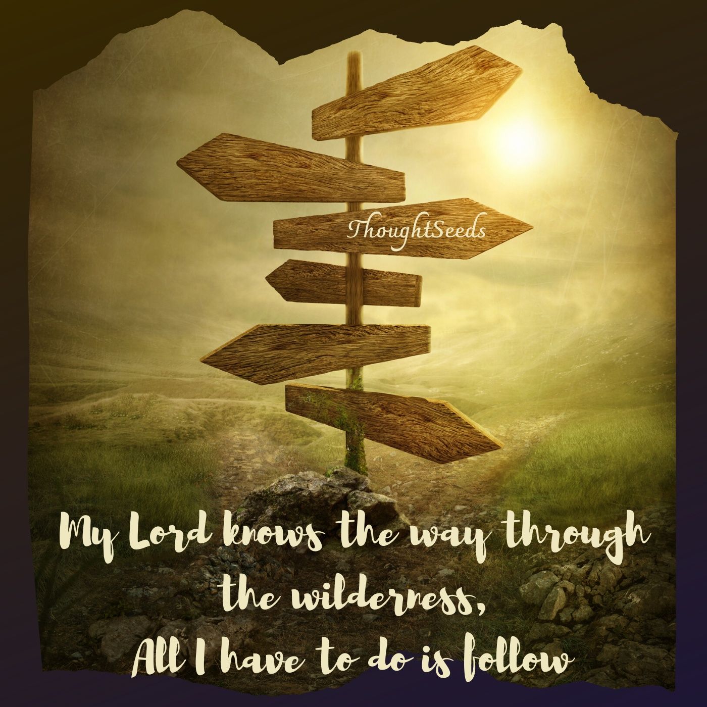 ThoughtSeeds