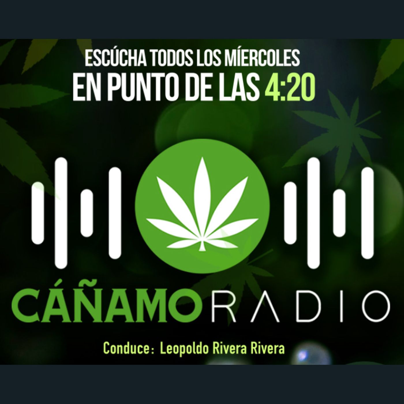 Antes CANIAMO Radio AHORA Mariguana RADIO