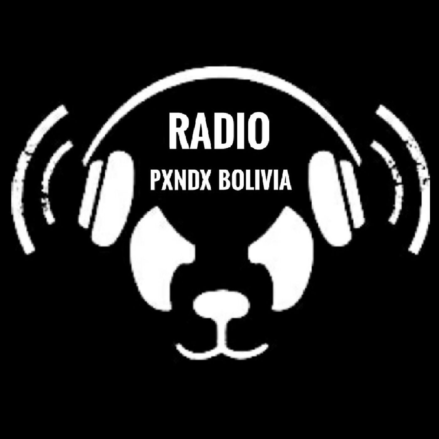 Pxndx Bolivia ONLINE