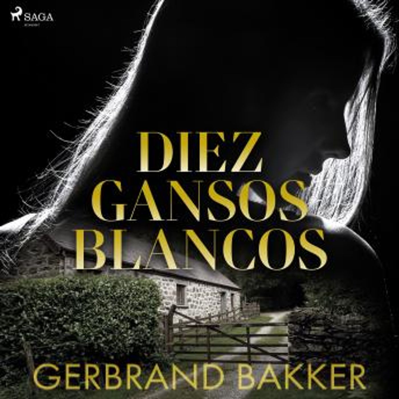 Explore the Latest Audiobooks in Mystery, Thriller & Horror, Suspense