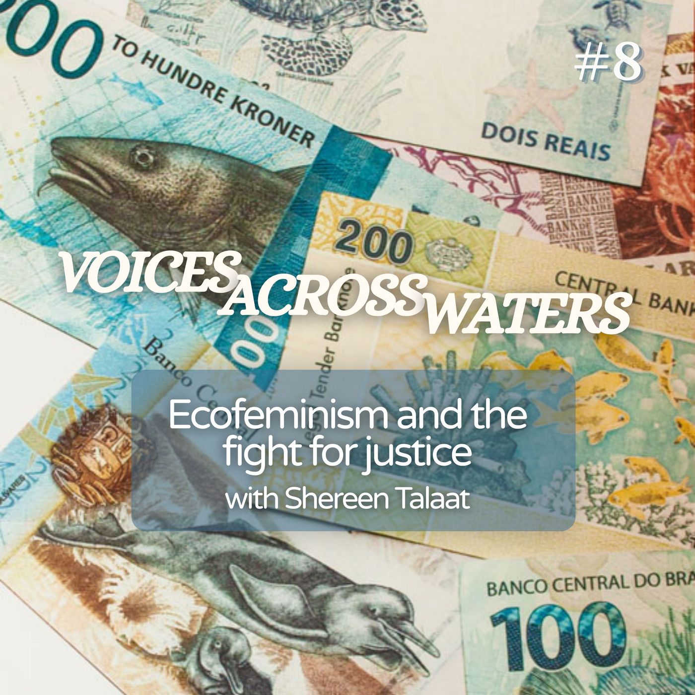 Ecofeminism and the fight for justice episode artwork