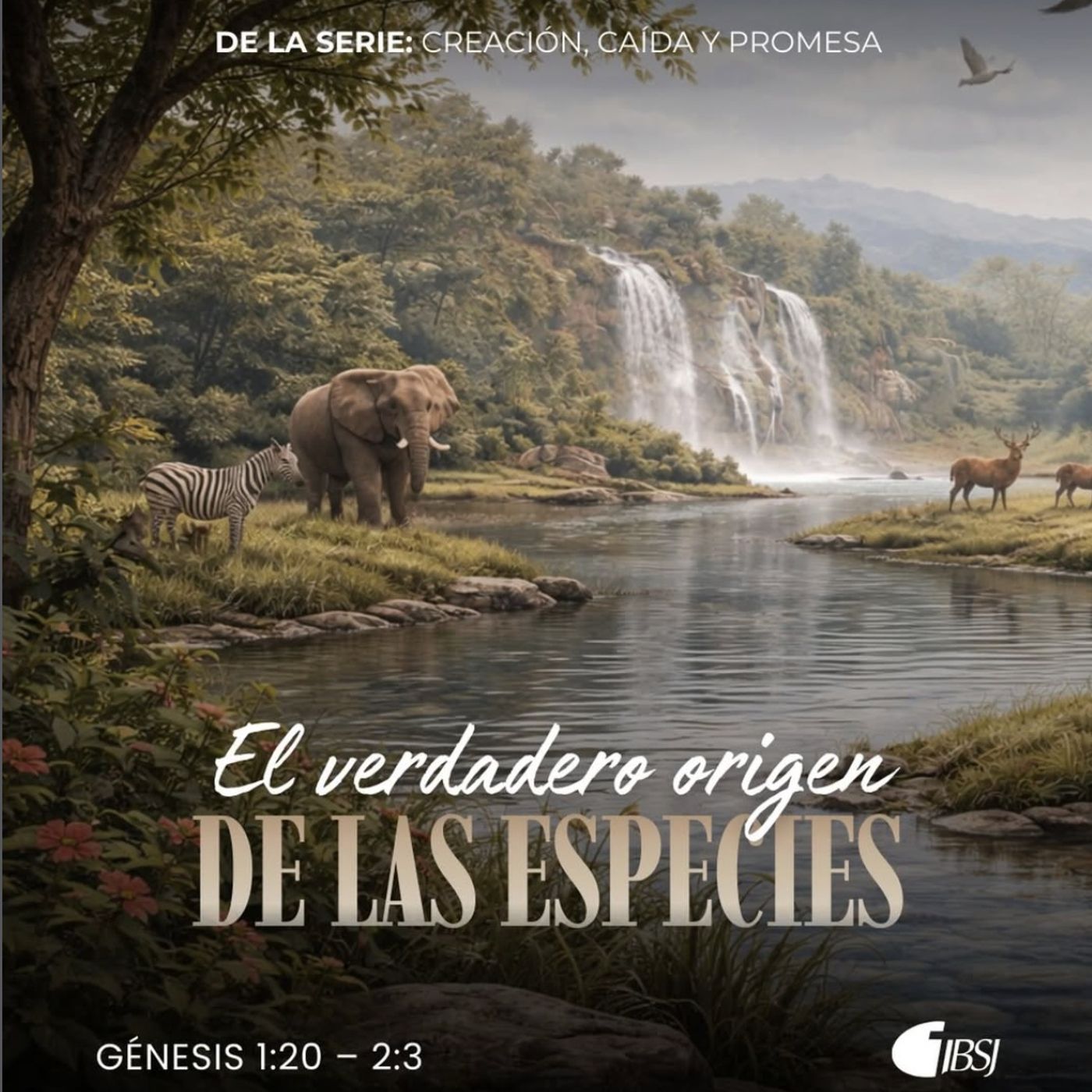 Portada de Iglesia Bíblica del Señor Jesucristo