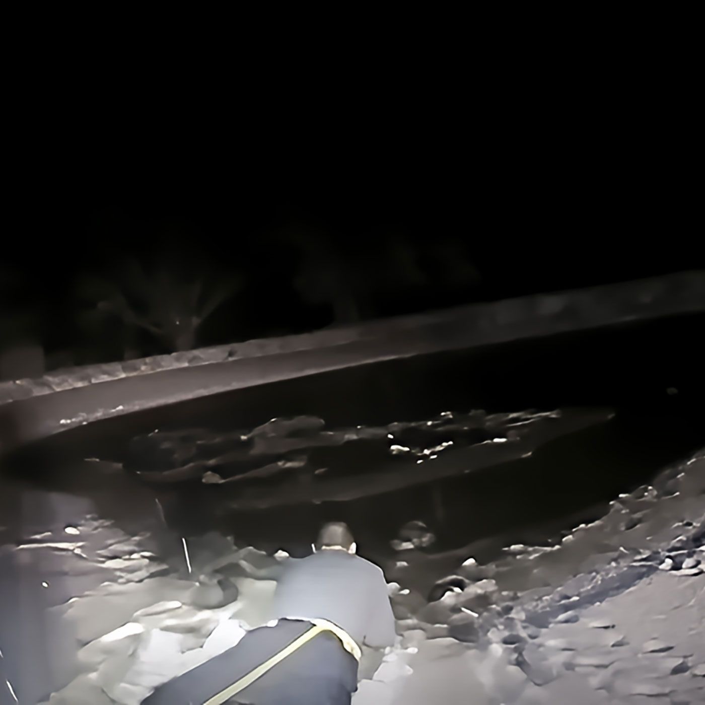 Officer Tells Story Of Lake Rescue - The Real Cost of Owning A Pet episode artwork