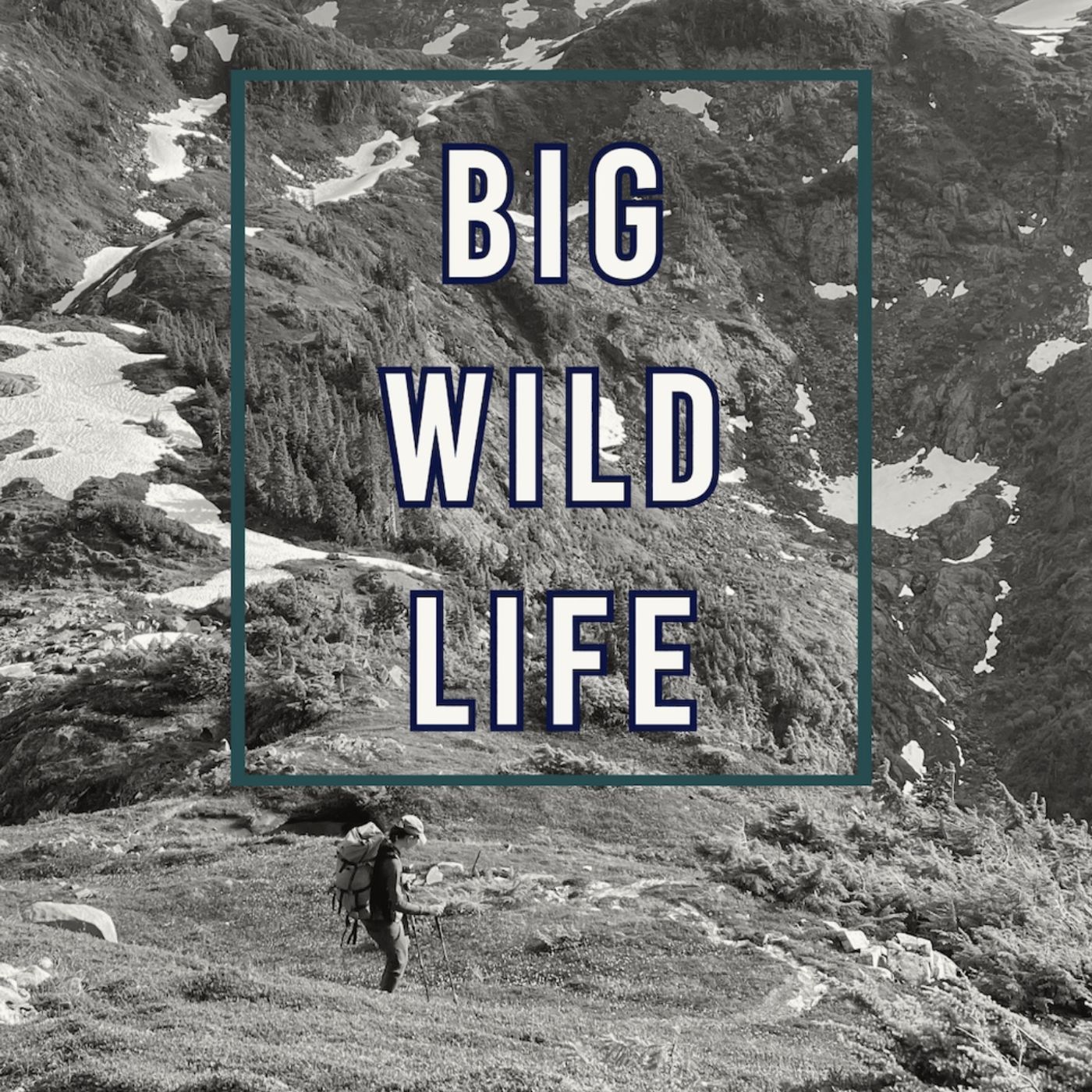 Buffalo Roamer Outdoors