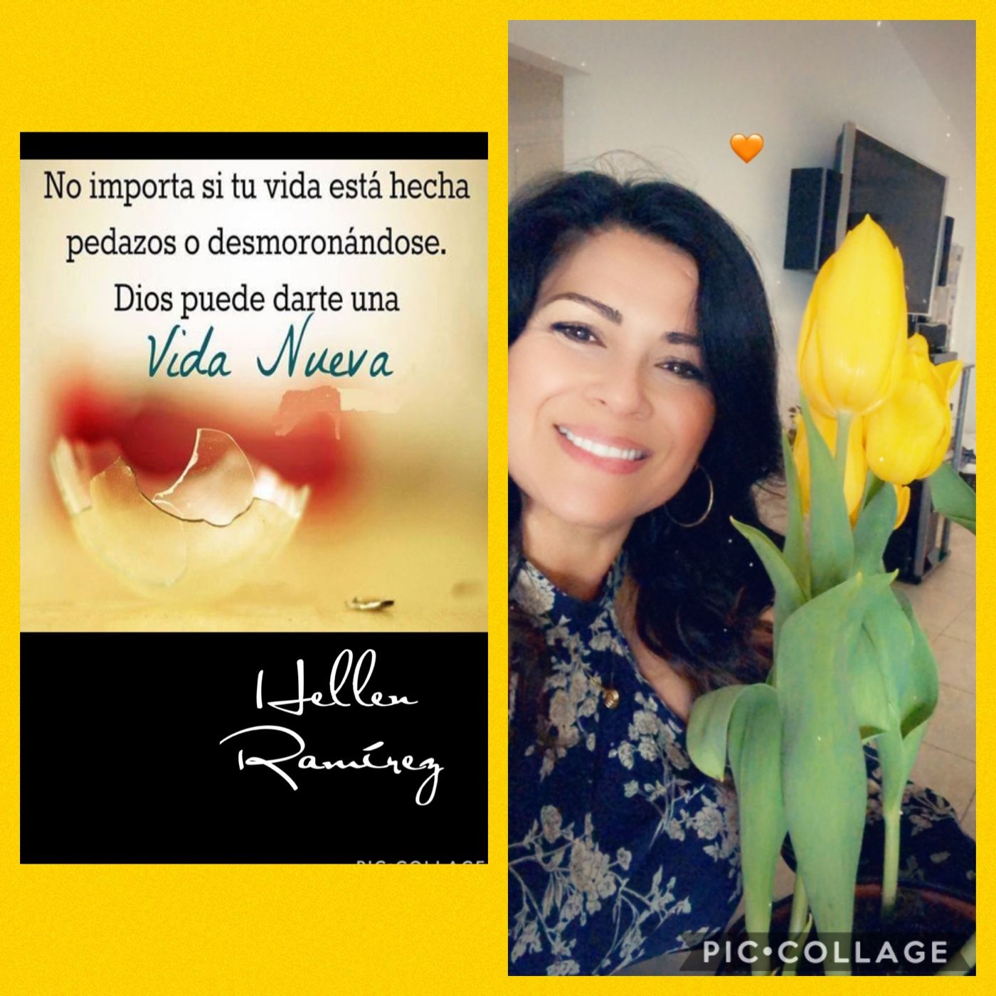 Terapia Restauradora Y Salud Emocional