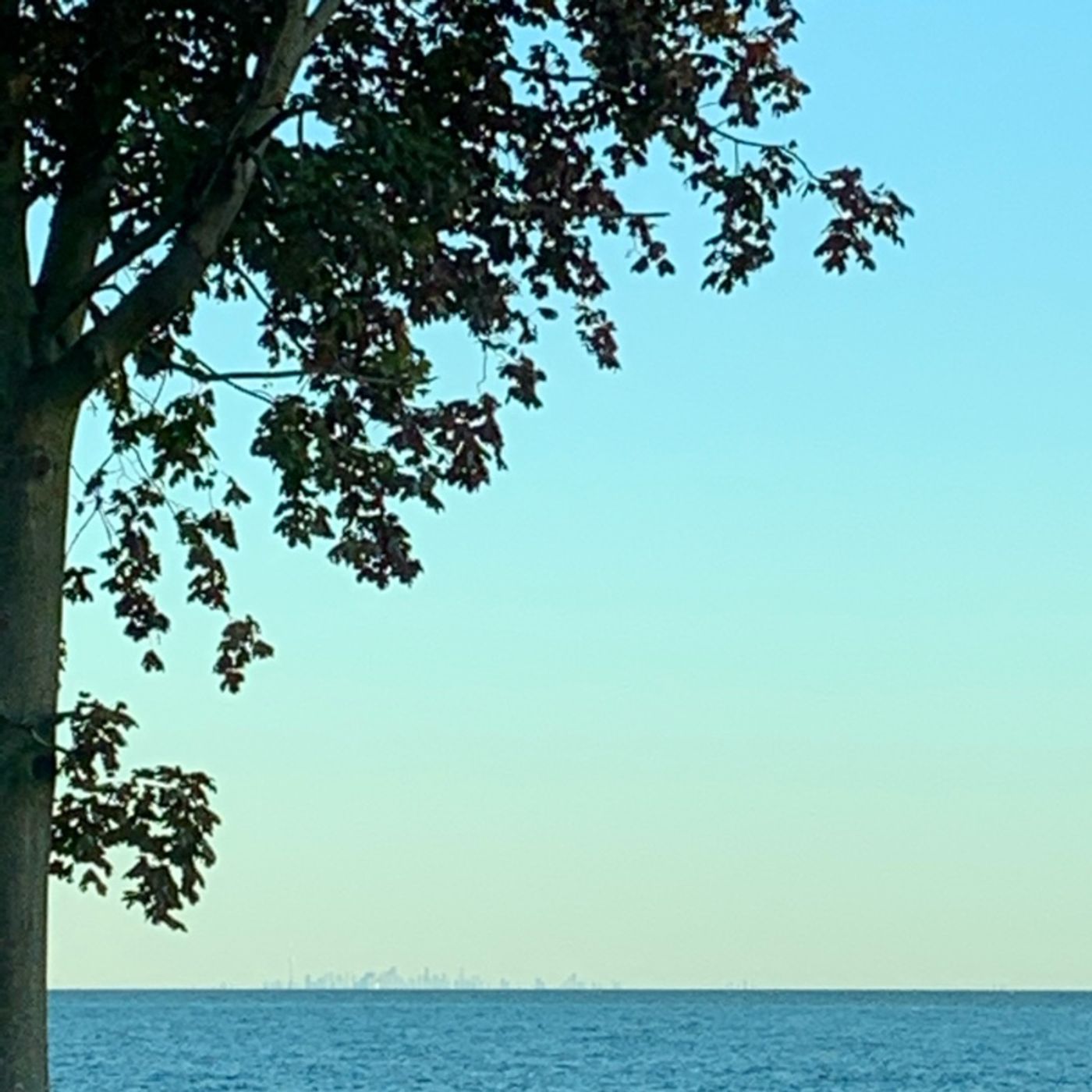 Prayer on the Go! - with Bishop Deb