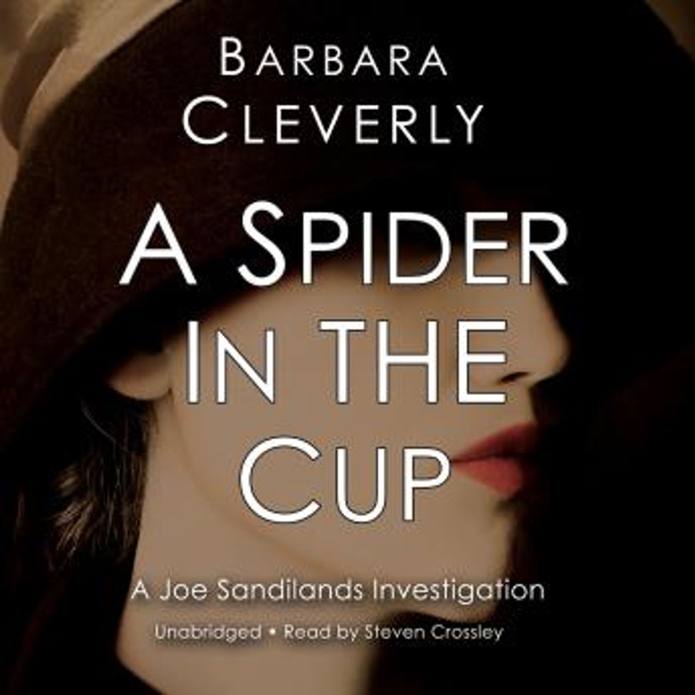 A Spider in the Cup by Barbara Cleverly episode artwork