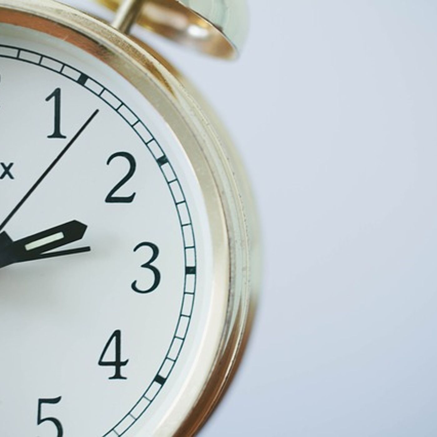 Les Chroniques de Romuald