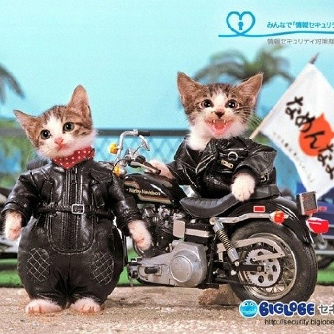 Episodio 1 - Veterinaria en 90 segundos: ¡Sobreviví a un gato furioso! 🙀 episode artwork