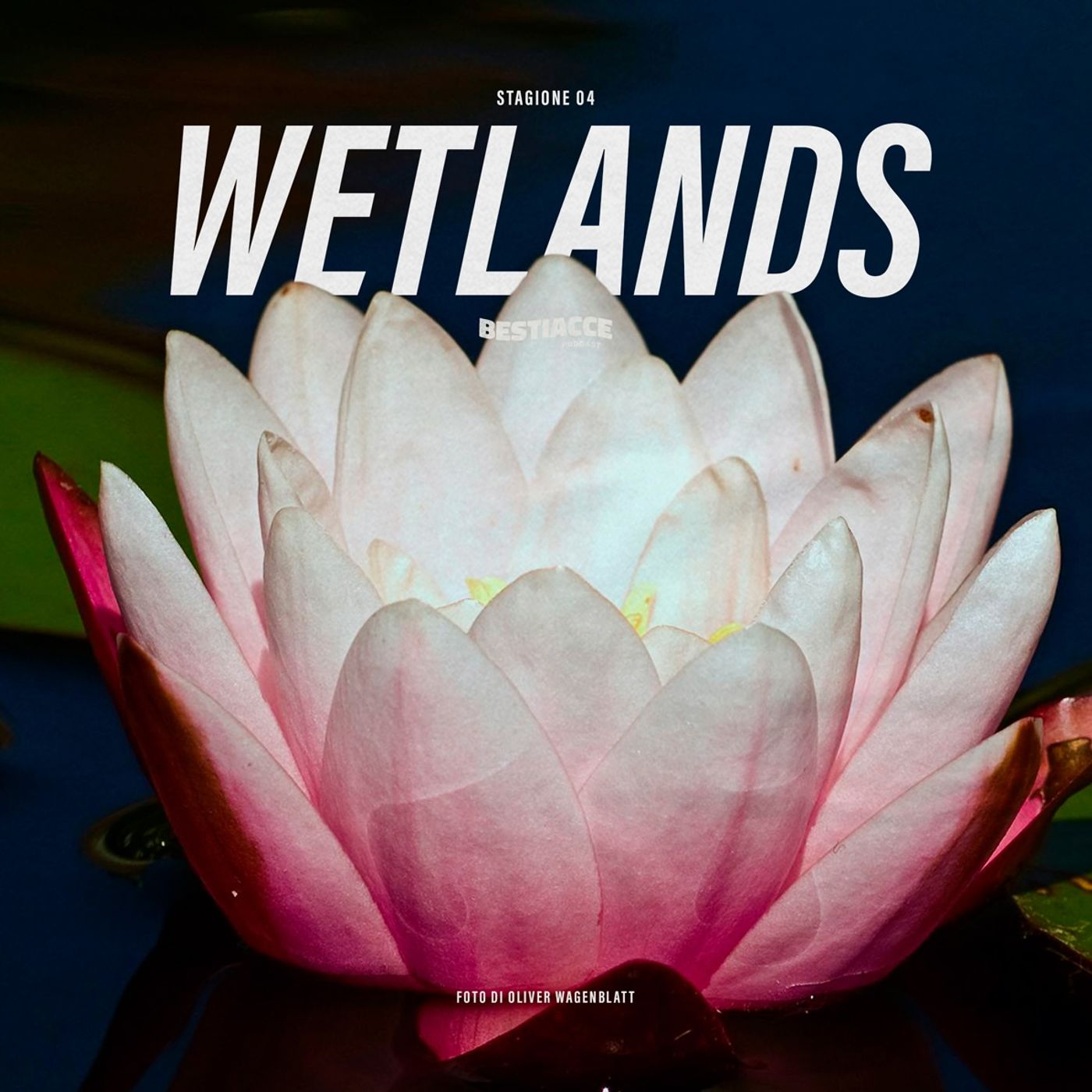 Ep 38 • Wetlands