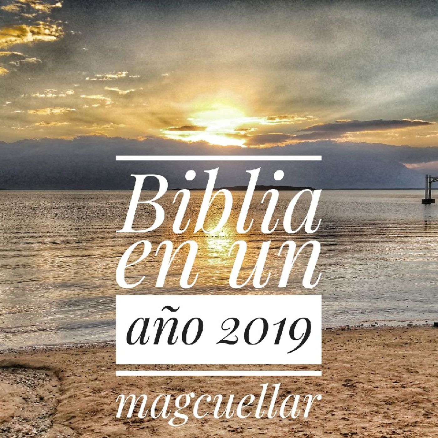 Biblia En Un Año 2019