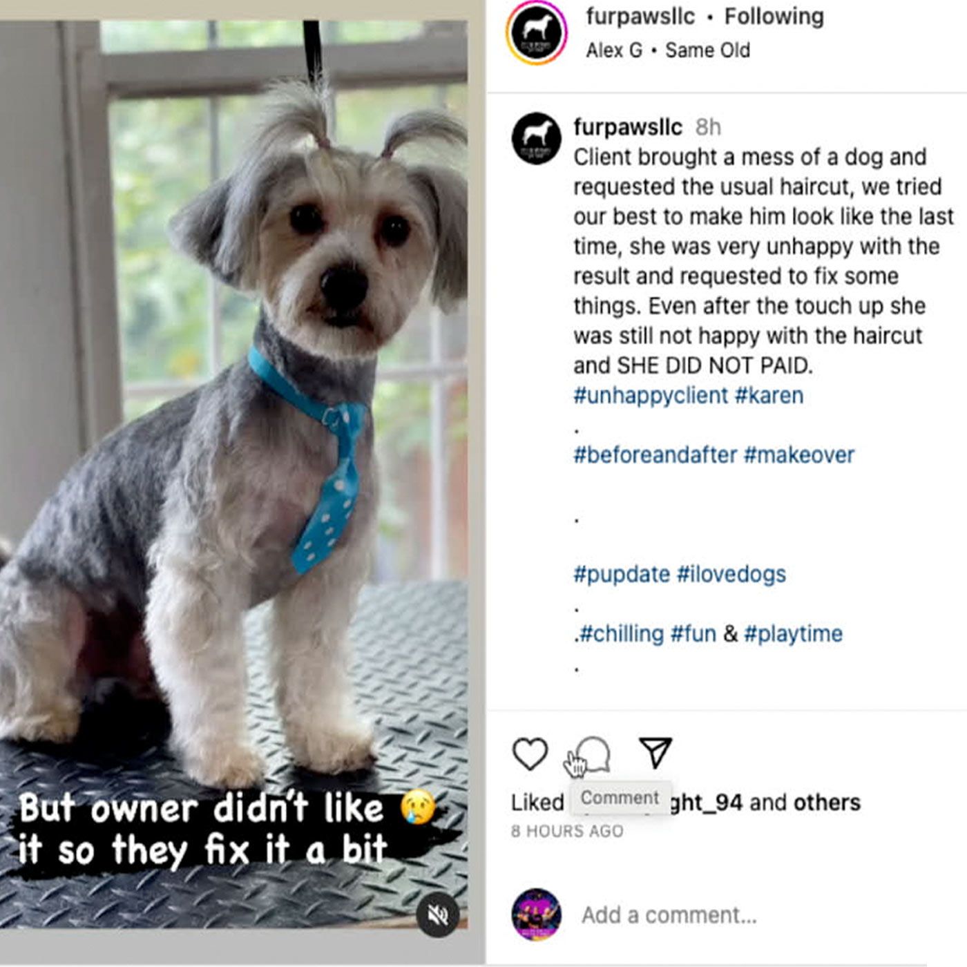 FULL SHOW: How To Save A Life (And Talk To Your Dog)!