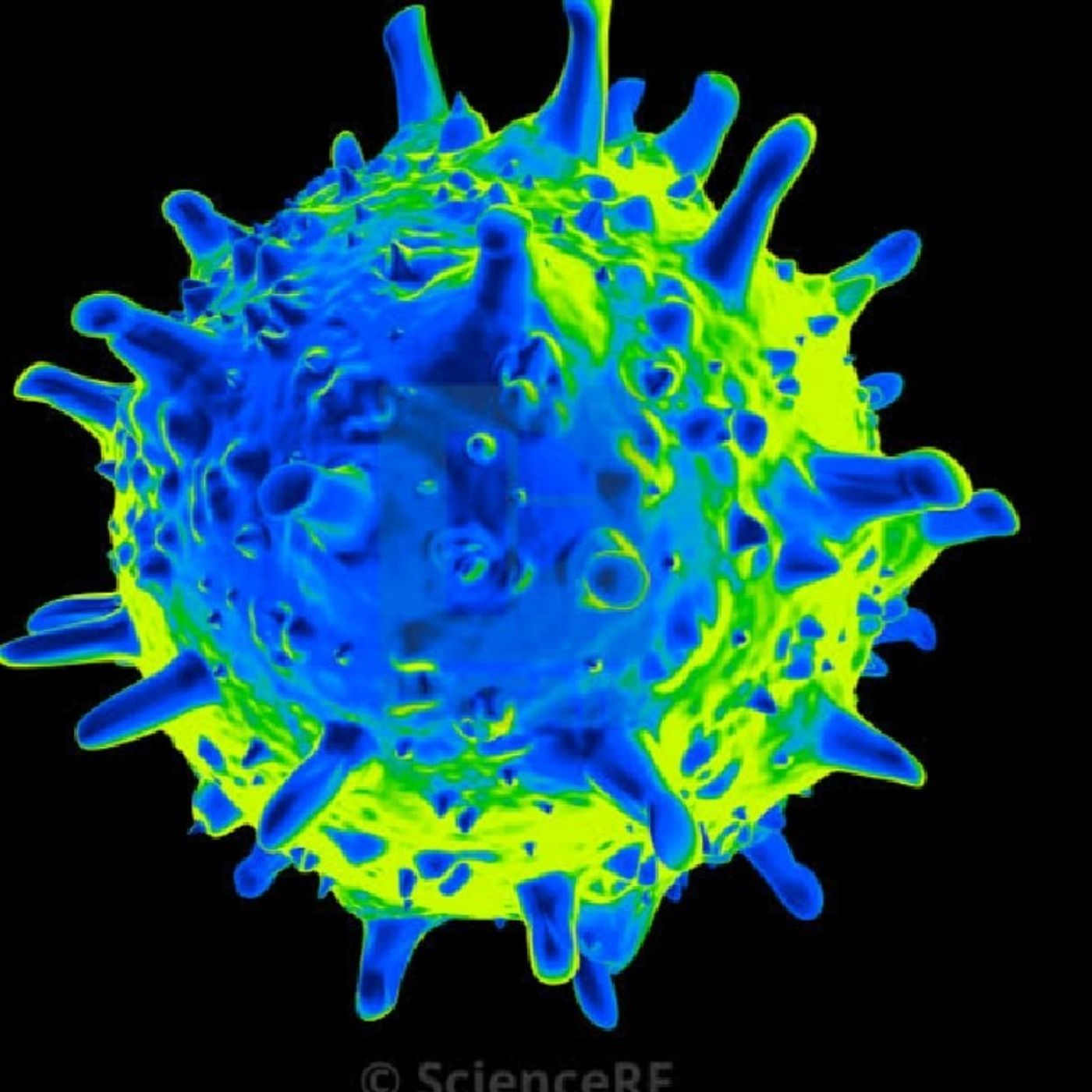 Episode 14 - The Daily News's podcast