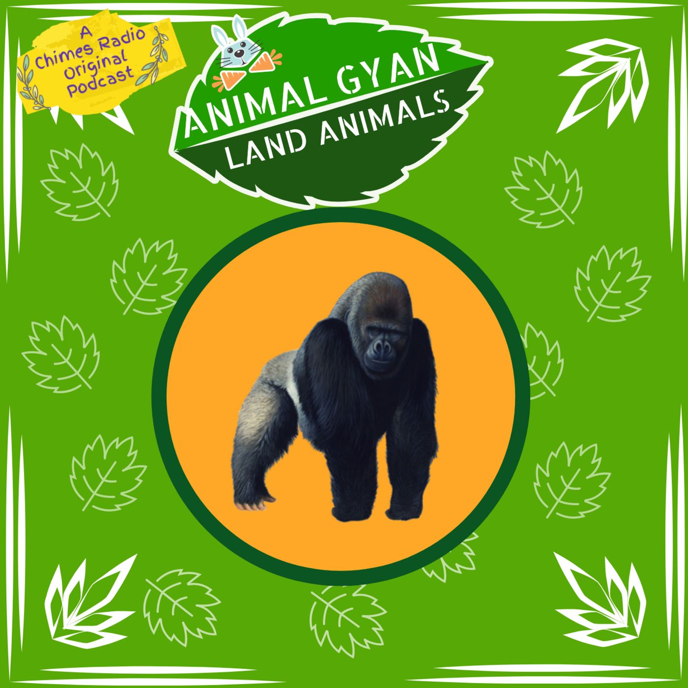 Gorilla