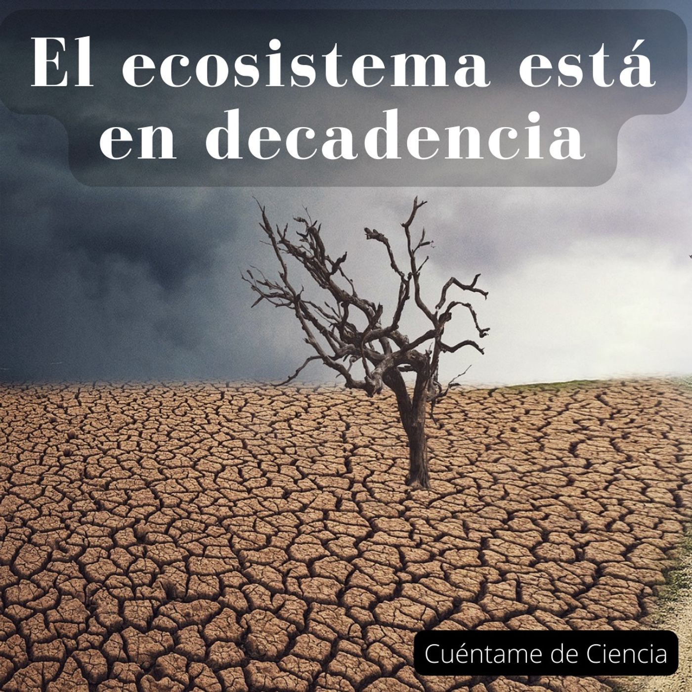 Cuéntame de Ciencia