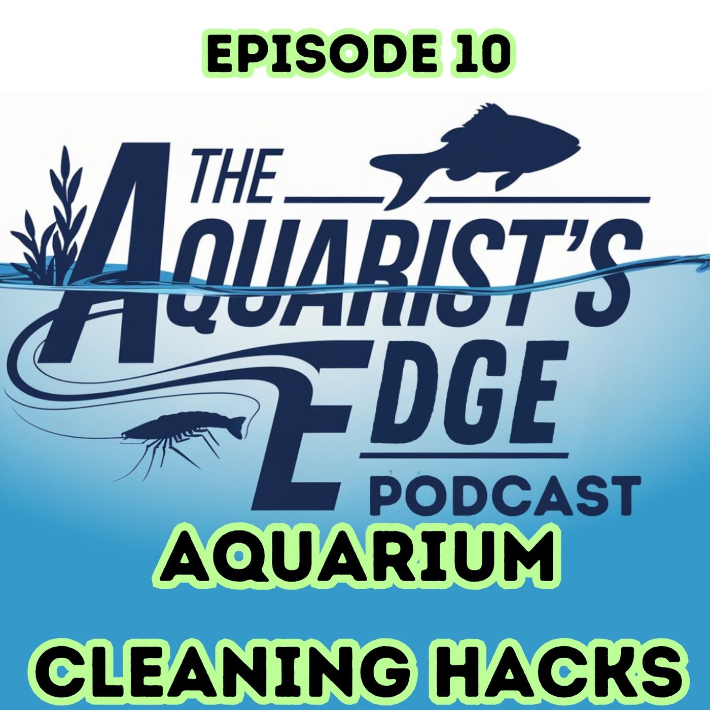 The Aquarist\'s Edge