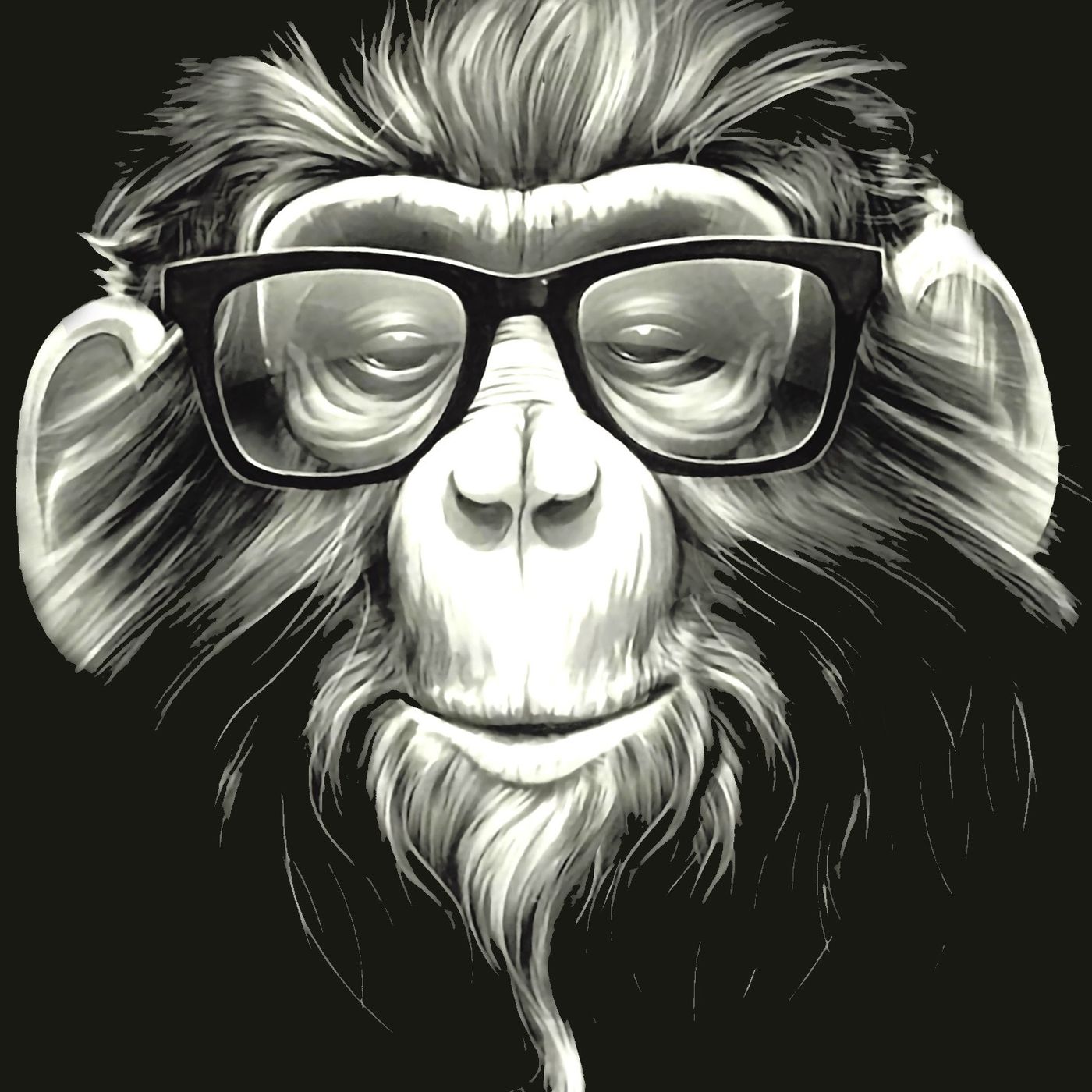 Aporte Primate