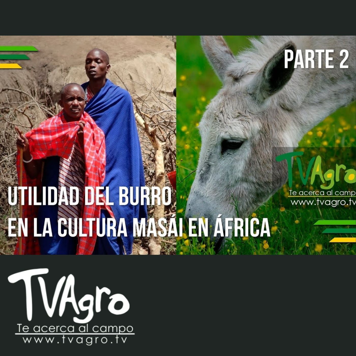 TV AGRO